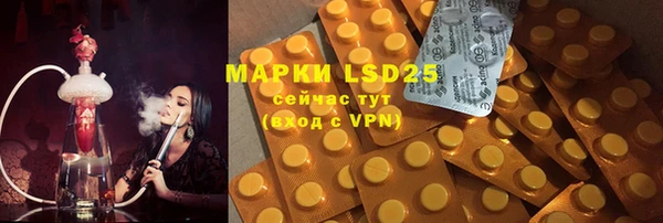 ПСИЛОЦИБИНОВЫЕ ГРИБЫ Белокуриха