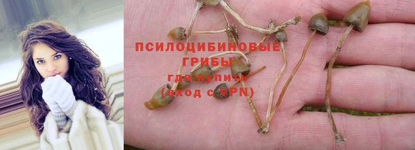 ПСИЛОЦИБИНОВЫЕ ГРИБЫ Белокуриха