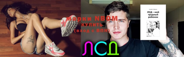 ПСИЛОЦИБИНОВЫЕ ГРИБЫ Белокуриха
