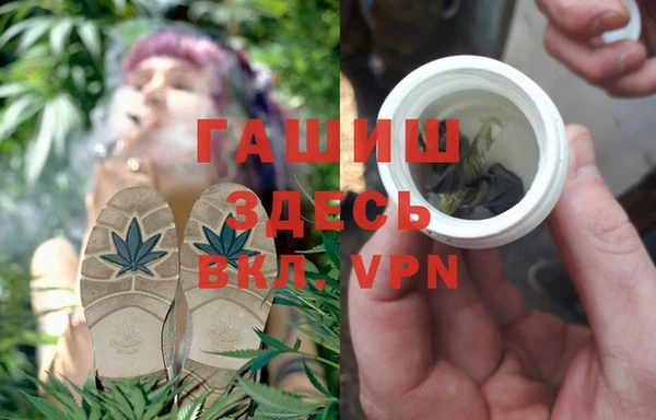 ПСИЛОЦИБИНОВЫЕ ГРИБЫ Белокуриха