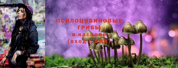 прущая мука Беломорск