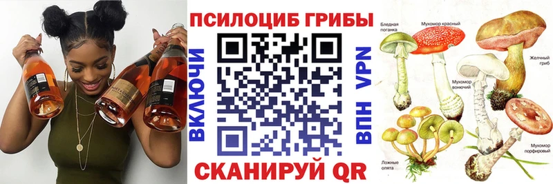 OMG ссылка  купить наркотики сайты  Щучье  Псилоцибиновые грибы мухоморы 